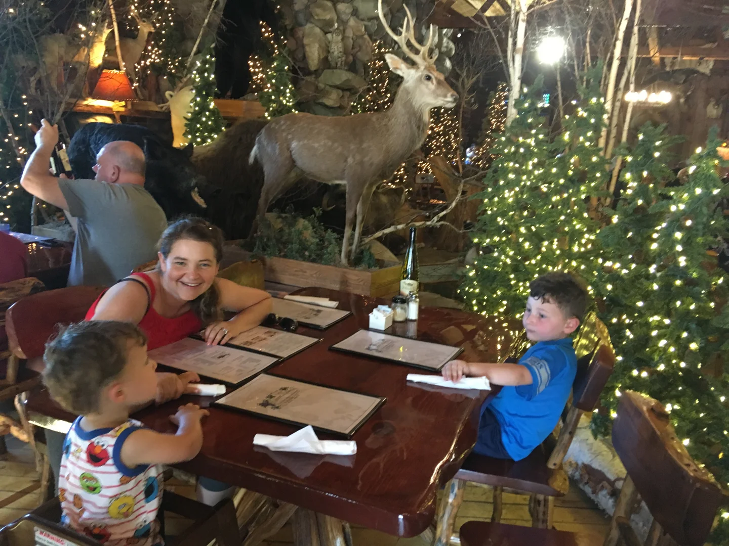 Jenny-Picture-Album-3/055_frankfort2019-01.webp