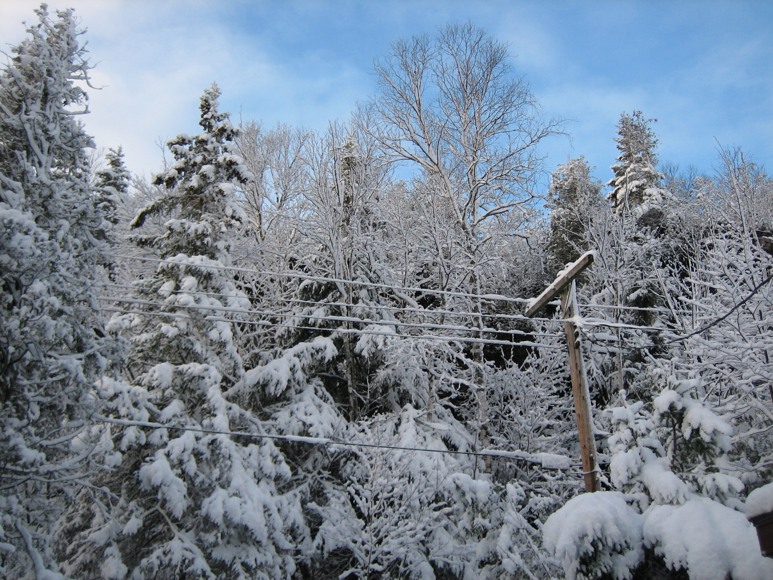 Lions_Head_2006_November_Snow/lions-head-nov-3-2006-10.jpg