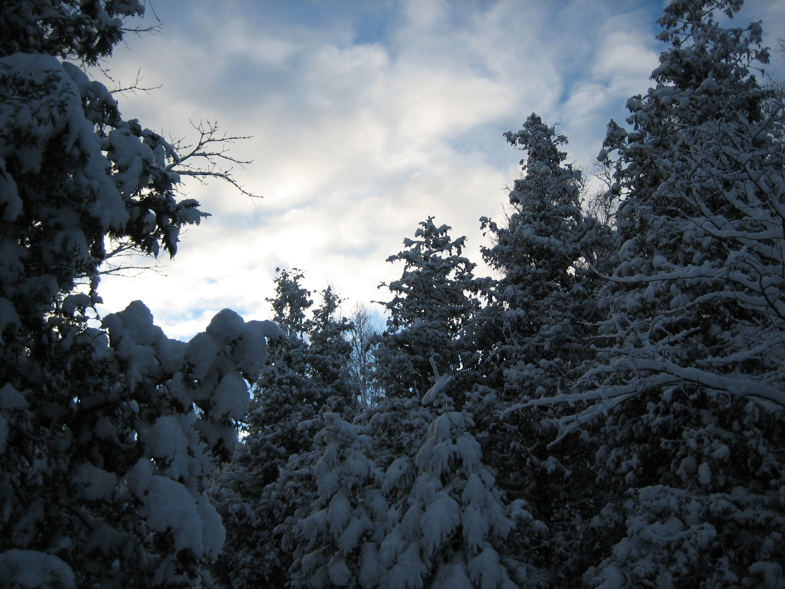 Lions_Head_2006_November_Snow/lions-head-nov-3-2006-11.jpg