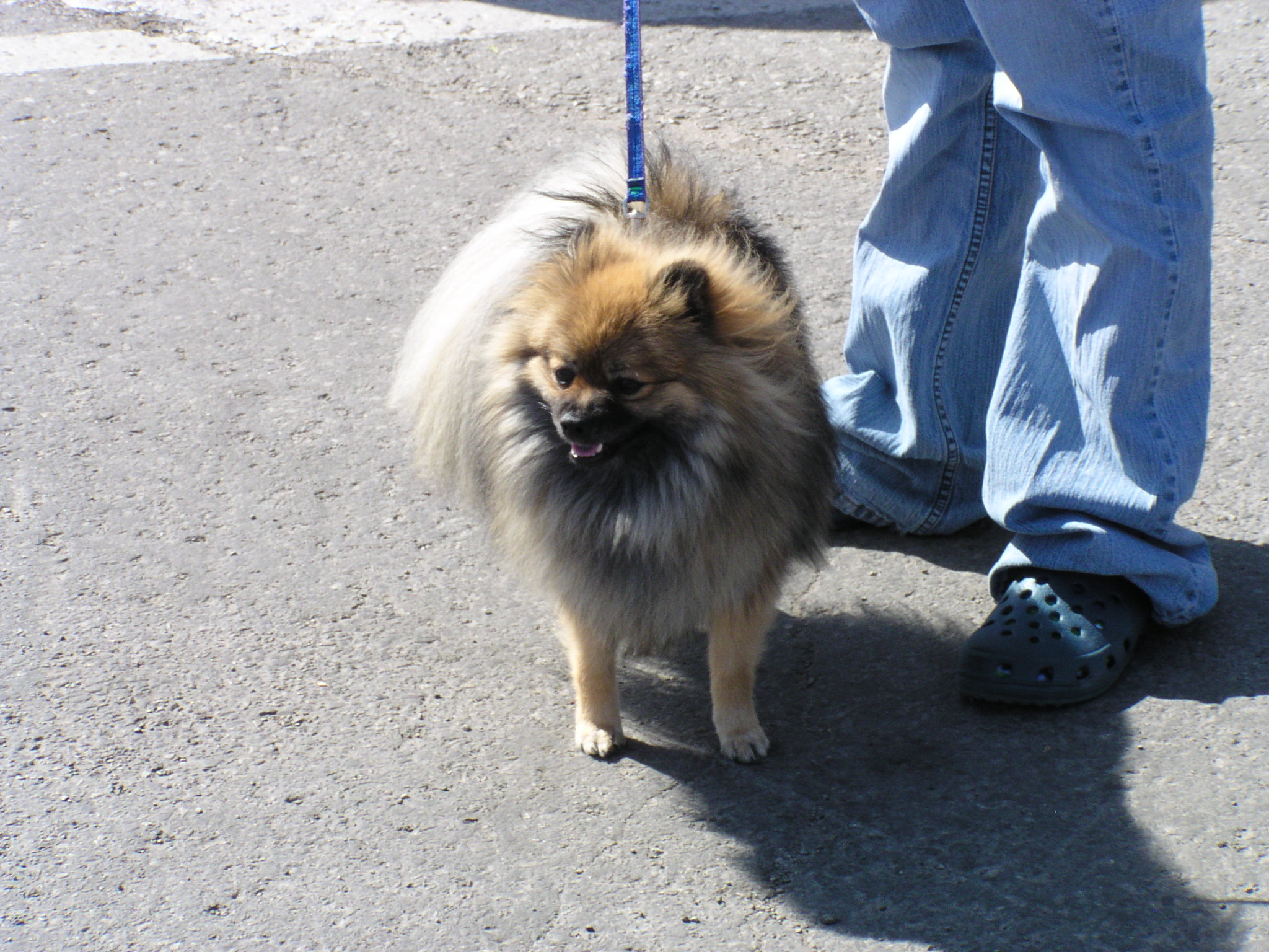 Lions_Head_2009_Sept/lions-head-sept-2009-04.jpg