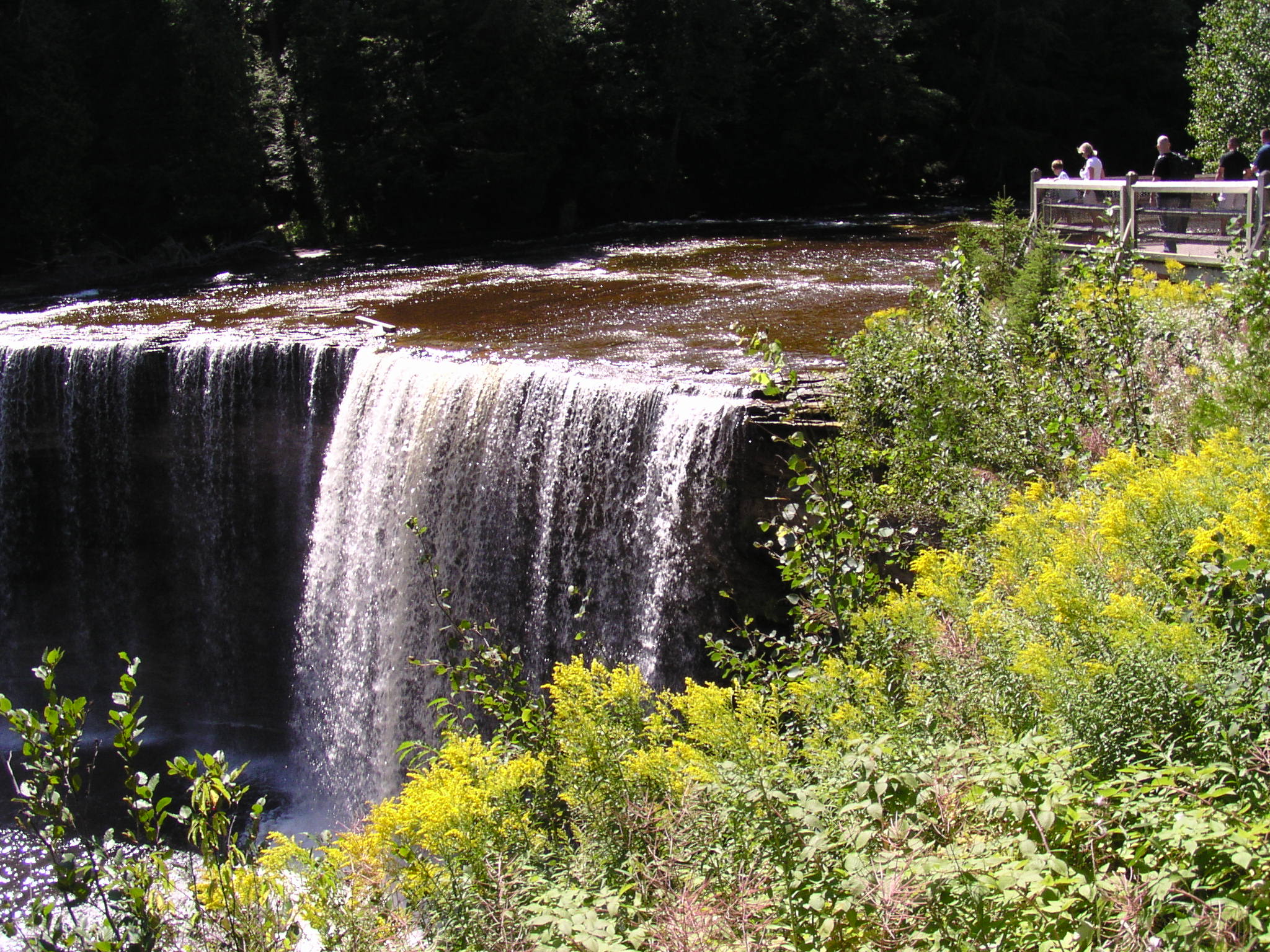 Up_North_Trip_2011/up-north-trip-aug-2011-39.jpg